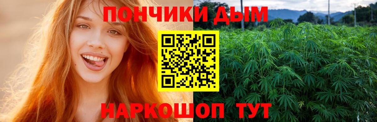 Хасавюрт  Бошки марихуана тримм  Вход с VPN  Марихуана MAZAR  Бошки марихуана Amnesia 